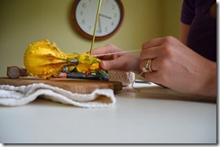 houzz stringin gourds amy renea a nest for all seasons