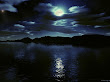 Moonlight Moon