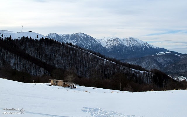 Baiului schi de tura 1212 Muntii Baiului, pinguinii carpatisti, schi, schi de tura Baiului-schi-de-tura-1212.jpg