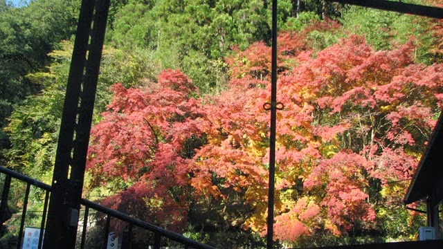 [IMG_4042%255B3%255D.jpg]
