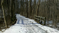 2011-02-17_13-34-40_339.jpg