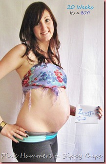 2-20 weeks side