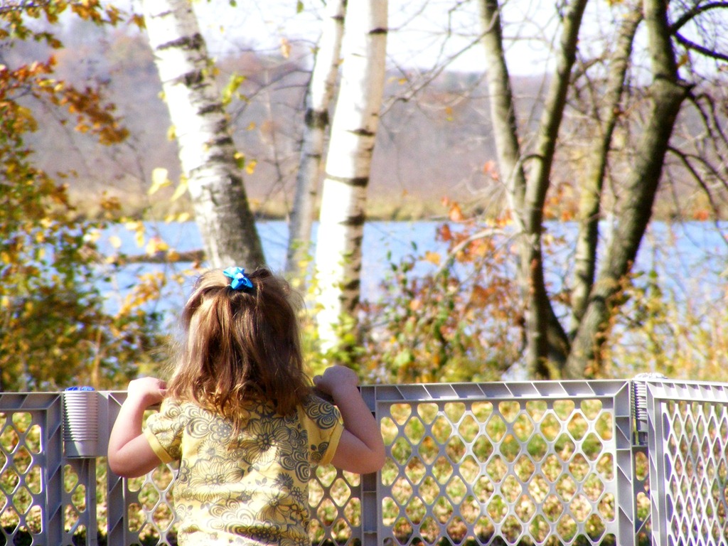 [Fall%252015%255B3%255D.jpg]