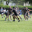 k-IMG_3879.JPG
