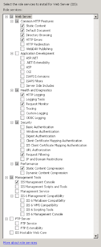 The options list for installing IIS