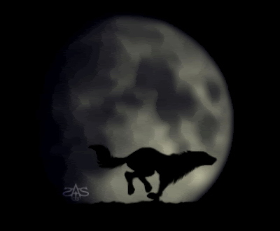 solo-wolf-moon-animated-1 solo-wolf-moon-animated-1
