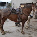 DSC_0046.JPG