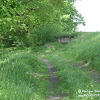 dsc06807.jpg