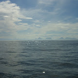 cimg0697.jpg