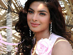 Priyanka Chopra hot pics