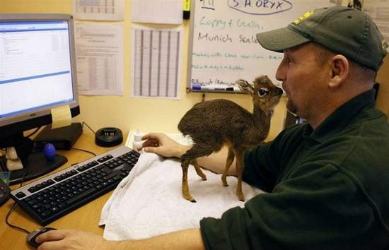 [animals-and-humans_03%255B2%255D.jpg]