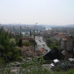 P1130377.JPG