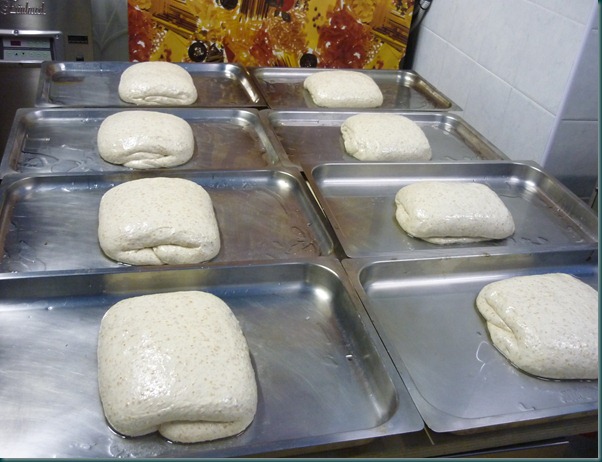 FOCCACCIA INTEGRALE ACCADEMIA DEL TARTUFO FOCCACCIA INTEGRALE ACCADEMIA DEL TARTUFO
