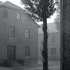IMGP4463_2.JPG