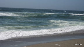 IMG_3726.jpg