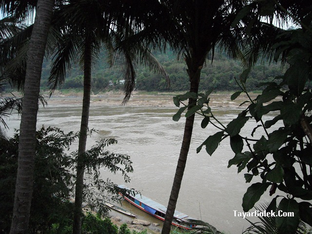 [DSCN80052.jpg]