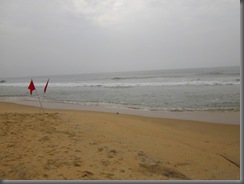 Varkala Beach 10
