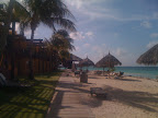 IMG_0195.JPG