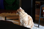IMG_8332.JPG