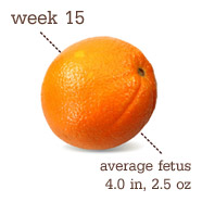 [week155.png]