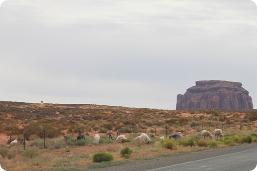 Drive to Monument Valley 135