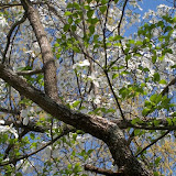 100_0487.JPG