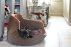 It's because Francesca is having some quiet time outside of her confinement.