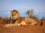 Sprachaufenthalt Südafrika