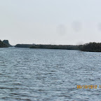 IMG_7966.JPG