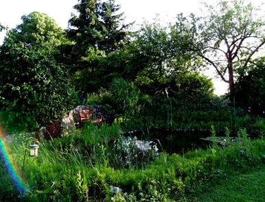 Pond area in their garden