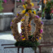DSC_0172.JPG