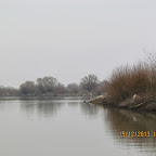 IMG_1600.JPG