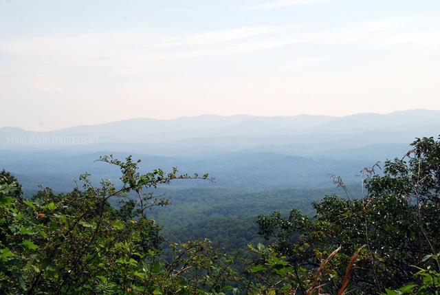 DSC_0239 DSC_0239