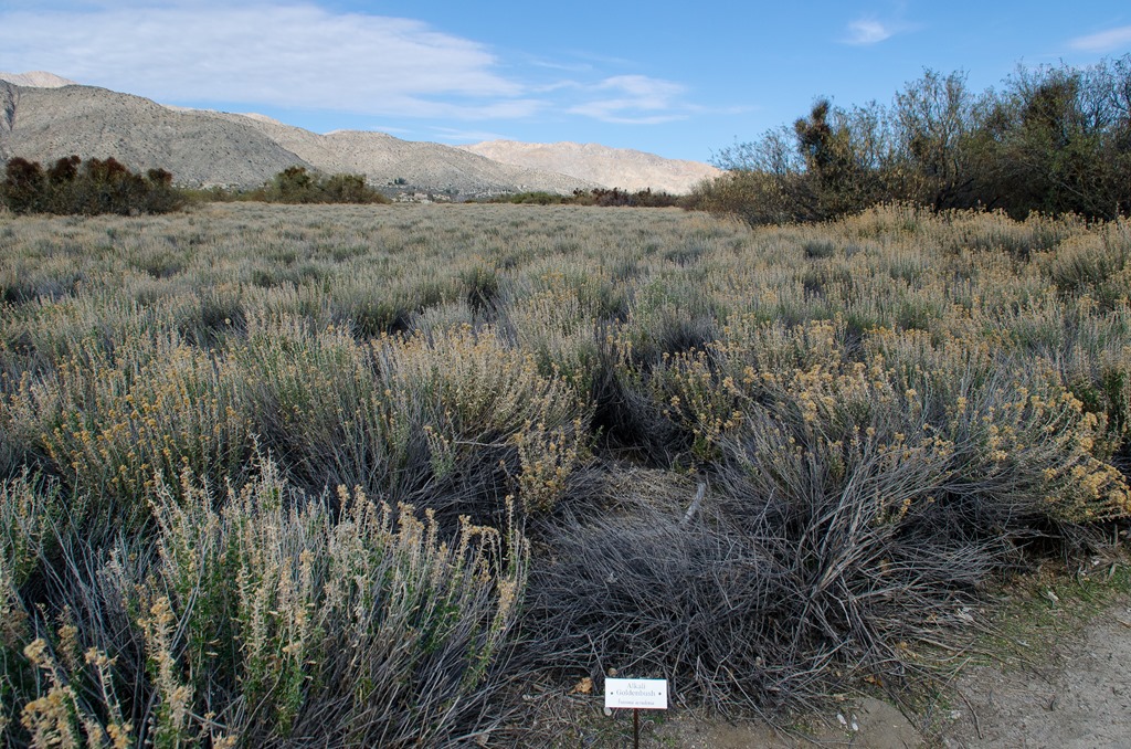 [Big%2520Morongo%2520Canyon%2520%252862%2520of%252063%2529%255B5%255D.jpg]