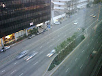 IMG00611-20100128-1722.jpg