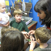 IMG_2947.JPG