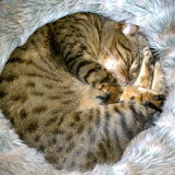 IMAG0034.jpg