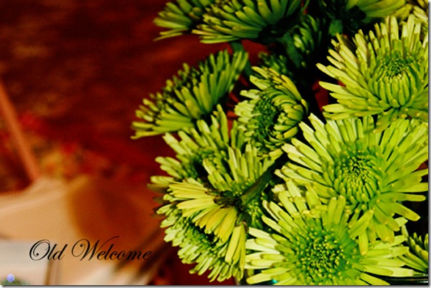 green flowers old welcome