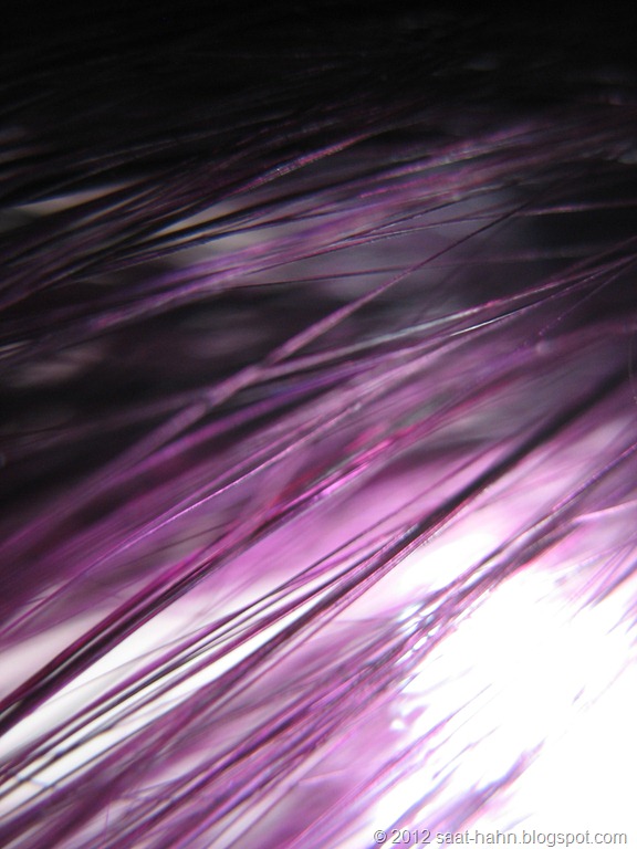 [2010-02-25%2520011%255B6%255D.jpg]