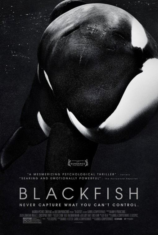 Blackfish poszter és trailer