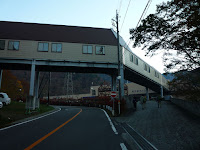 P1100170.JPG Photo