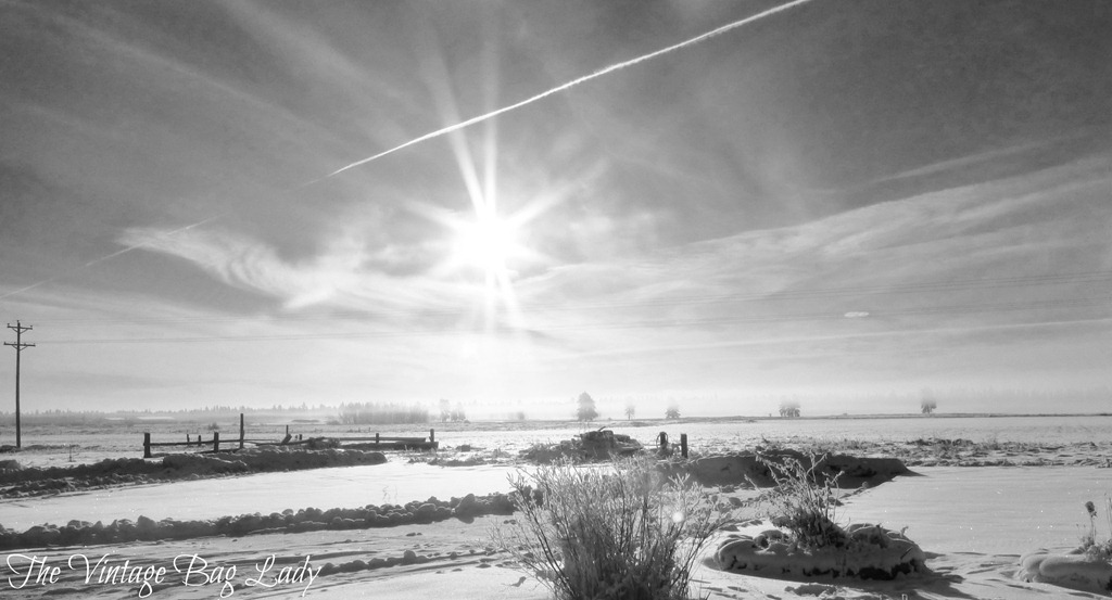 [winter-sunshine-005-24.jpg]