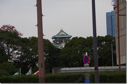 IMGP6052 IMGP6052