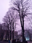 IMG_20121223_165622.jpg