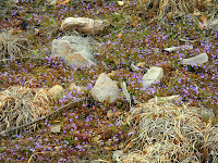 DSCN1920.JPG