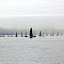 Sailboats Lined Up For The Day's Regatta - Auckland, New Zealand