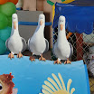 Aniversario Bernado 126.JPG