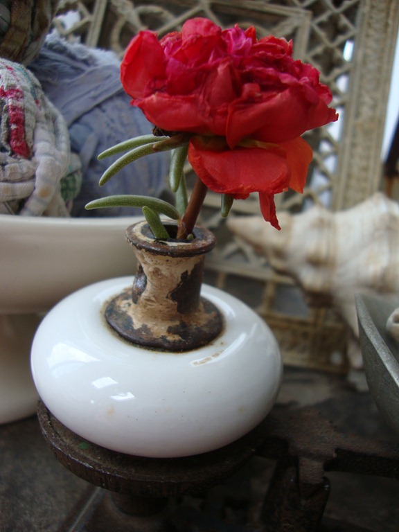 [DSC083243.jpg]