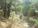 DSCF3630.jpg
