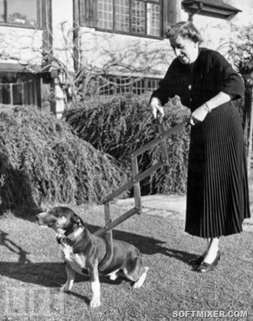 [8d1befaa6382%25282%2529%255B3%255D.jpg]